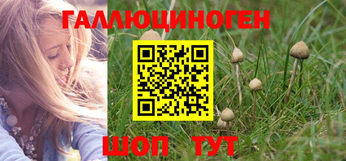 Светлоград  Галлюциногенные грибы мухоморы  Вход с VPN 